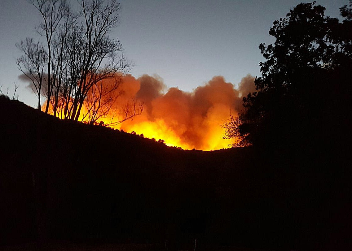 Knysna fire 2017 near Elandskraal, South Africa